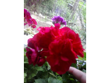 2016-06-02 14.02.21.jpg