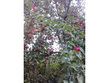 2016-09-14 16.47.35.jpg