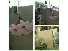 ����-�������� ����