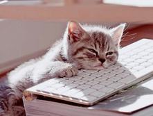 �������� �� ������ ��������� ...