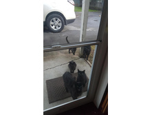 ��������! ������� ������!