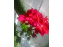 2016-05-14 13.09.51.jpg