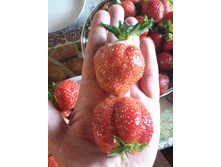 19732078 1968714059820824 923432659006339251 n.jpg