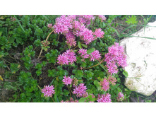 P 20170721 174704.jpg