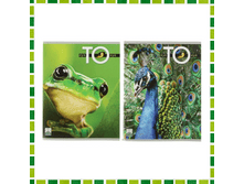 ������� 80 � ������ �����-eye to eye �������: ��2447671