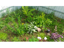 P 20170702 143520.jpg