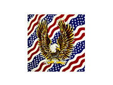 49,5 ���. - �ң� �� ���� ����� ��� 55�55 ��