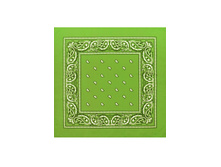 45 ���. - Paisley Acrylic 55�55 ��