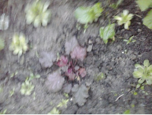 2017-06-19 20.26.23.jpg