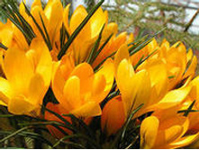 ��-��-�� ����-��� ������ ���-��-���-����-��� 68 ���. ��. (� �������� 10 ��.). ������ �� 15 ��. ������� ������ 4 ��..jpg