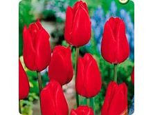 ������� ������� ������ ���� �������� 104,3 ���. ��. (� �������� 7 ��.). ������ �� 40 ��. ������� ������ �� 10 ��..jpg