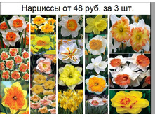 � ������� 3.JPG