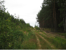 IMG 3734.JPG