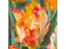 ������� ���������� ����-���� ���-��� ���. ����.jpg