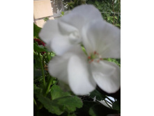 2016-06-02 14.01.10.jpg