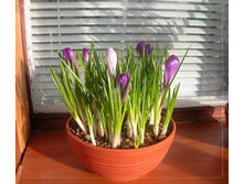 ������� ���� 2.jpg