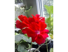 2016-06-02 14.01.27.jpg