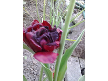 2017-05-22 18.04.33.jpg