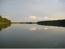 IMG 3745.JPG