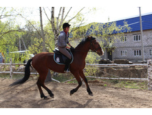 �� ��� ������ �����....