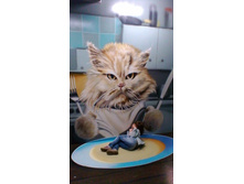 P 20170520 153849.jpg