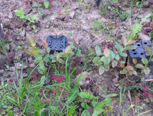 ������ ���������� �� �����������