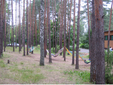 IMG 3731.JPG