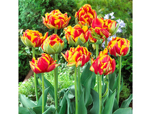 �������� �������� ������ ����-��� ���. ����2..jpg