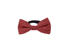 125 ���. - ���������� �ף������ �� ��������