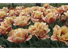 �������� �������� ������ �� ��-�� ��-�� ���. ����2.jpg