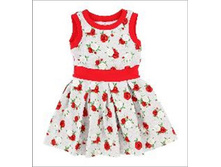 699 ���. - ������� "�������", (�������), �.104, 110, 116, 98