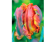 ������� ���������� ���-���� 104,3 ���. ��. (� �������� 7 ��.). ������ �� 50 ��. ������� ������ �� 10 ��. ����������� �������.jpg