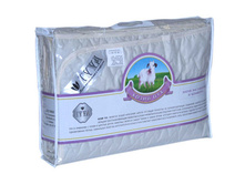 ������ (�����������, ���) � ������������ ����� ���