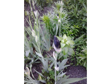 2017-06-09 20.06.45.jpg