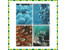 ������� 80 � ������ ����� �������: ��2447672