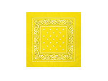 45 ���. - Paisley Acrylic 55�55 ��