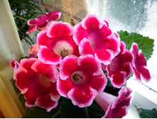 IMG 20170708 194355 HDR.jpg