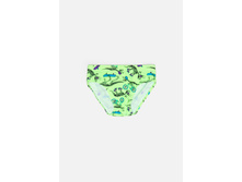 32124740006   Benito          .jpg