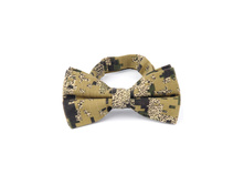 145 ���. - �������� �������� � ���������