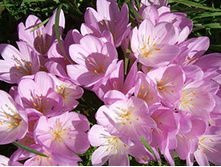 .������������ ���-���� ����-����� 89 ���. ��. (� �������� 1 ��.). ������ �� 20 ��..jpg