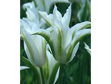 �������� ������������ ��-�� ��-�� 160,3 ���. ��. (� �������� 7 ��.). ������ �� 50 ��. ������� ������ �� 8 ��. .jpg