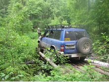 IMG 0183.JPG