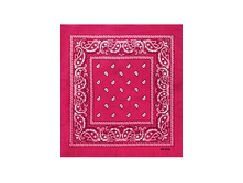 60 ���. - Paisley Cotton 55�55 ��