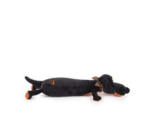 ������ - �������