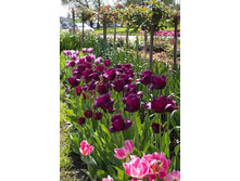 �������� ����������� ��-�� ���-��� ���. ����.jpg