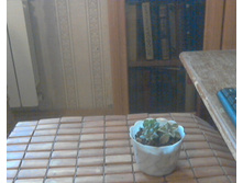 ��������, �������������,������