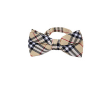 145 ���. - �������� ������