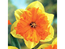 ���-����� ����������� ��-����-��� (����� ����� ������) 72 ���. ��. (� �������� 3 ��.). ������ �� 40 ��. ������� ������� �� 10 ��.!!!!!!!!!!!!!! ��������.jpg