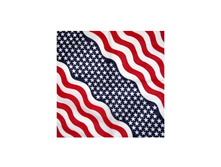 49,5 ���. - �������-��������� ���� ������� 56�56 ��