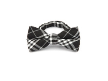 145 ���. - ����������� ������